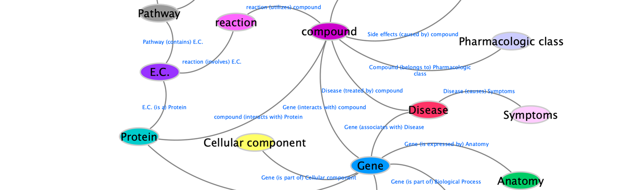 graphic depiction of SPOKE databases